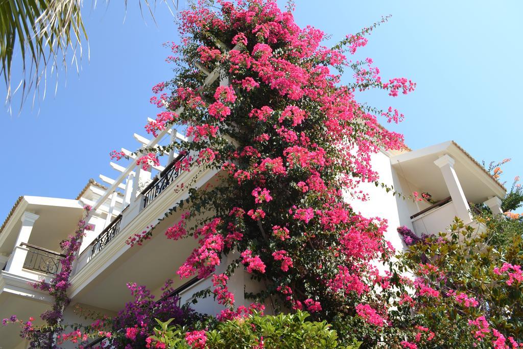 Delfino Blu Wellness Boutique Hotel آغيوس ستيفانوس المظهر الخارجي الصورة